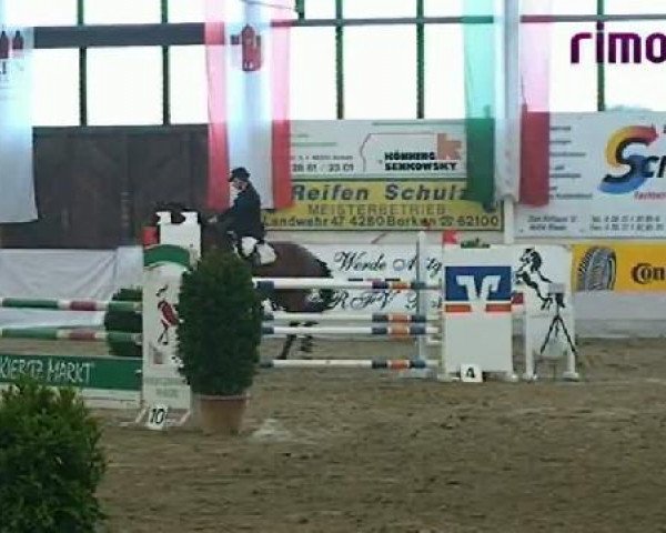 Borken 2011