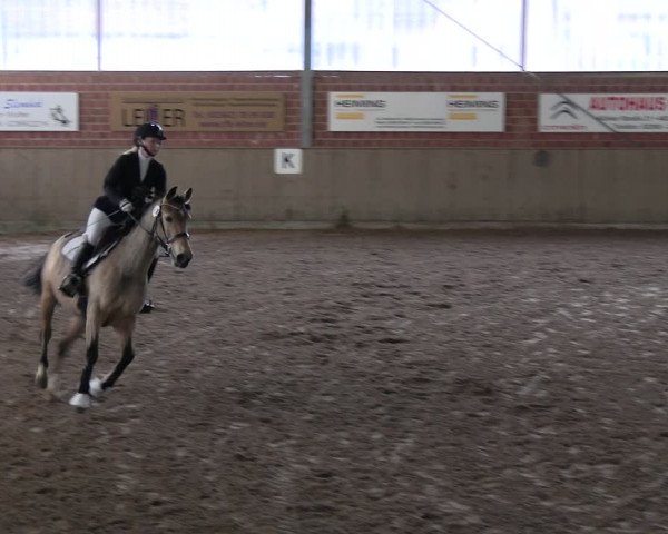 Reitturnier Lembeck 2024