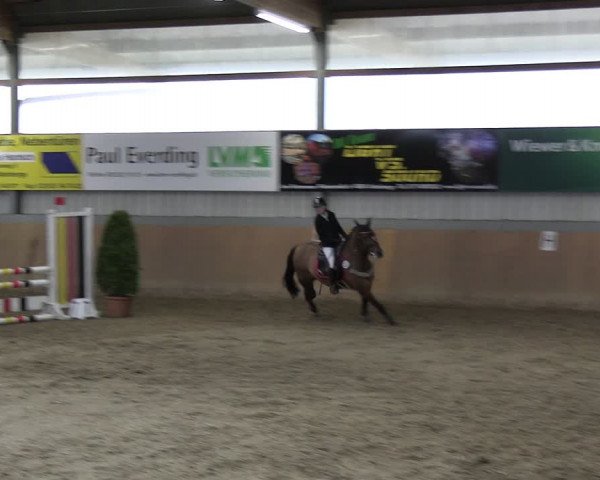 Reitturnier Altenberge 2024