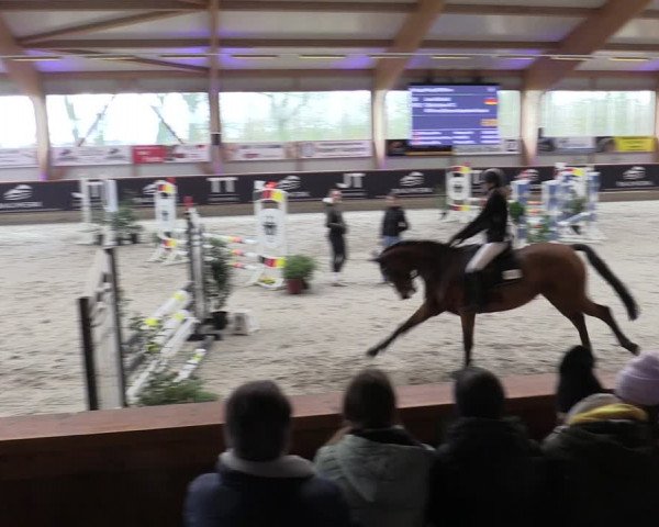 Reitturnier Goch-Asperden 2024