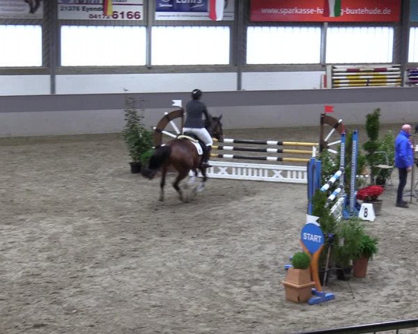 Reitturnier Luhmühlen 2024