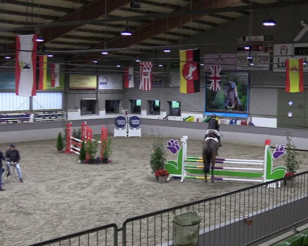 Reitturnier Luhmühlen 2024
