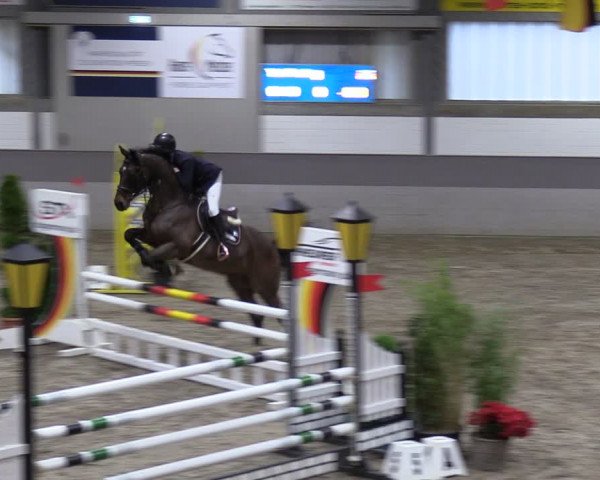 Reitturnier Luhmühlen 2024