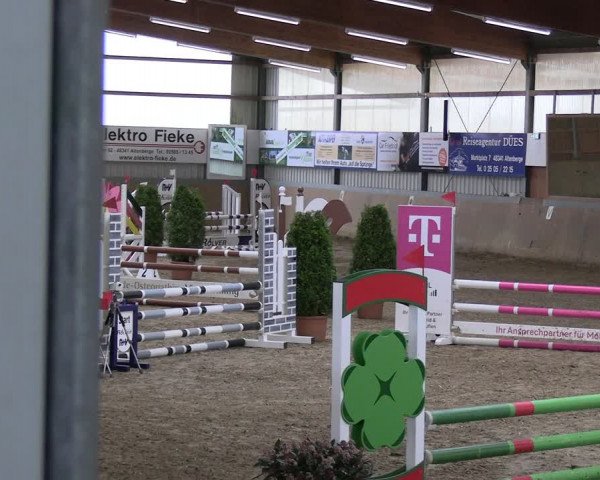Reitturnier Altenberge 2024