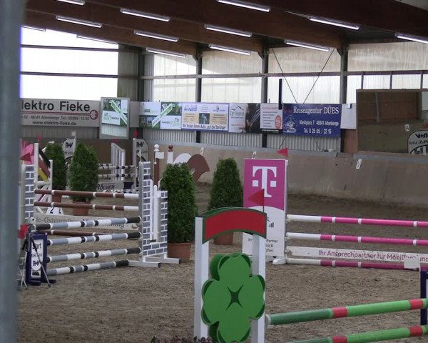Reitturnier Altenberge 2024