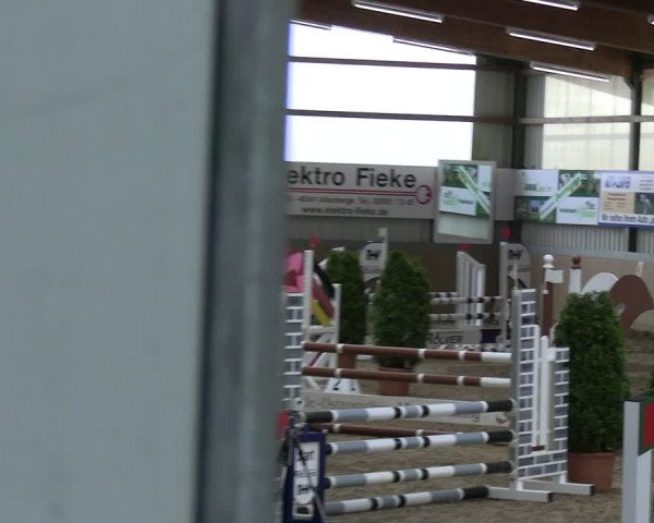 Reitturnier Altenberge 2024