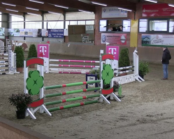 Reitturnier Altenberge 2024