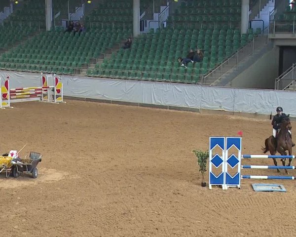 Reitturnier Kreuth/Opf. 2024