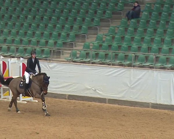 Reitturnier Kreuth/Opf. 2024