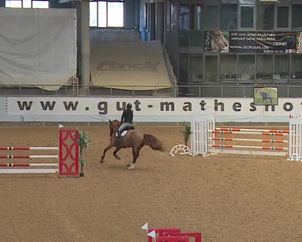 Reitturnier Kreuth/Opf. 2024