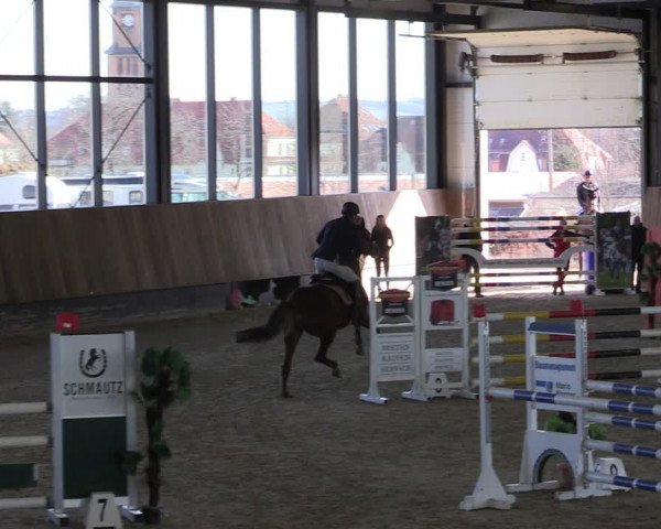 Reitturnier Zwickau 2024