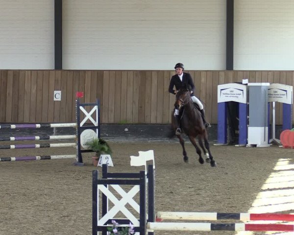 Reitturnier Zwickau 2024