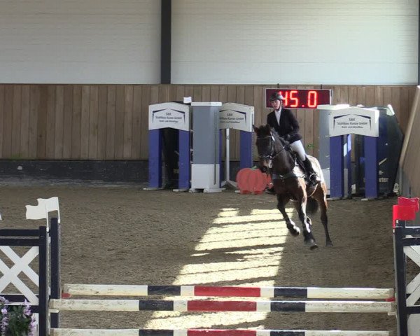 Reitturnier Zwickau 2024