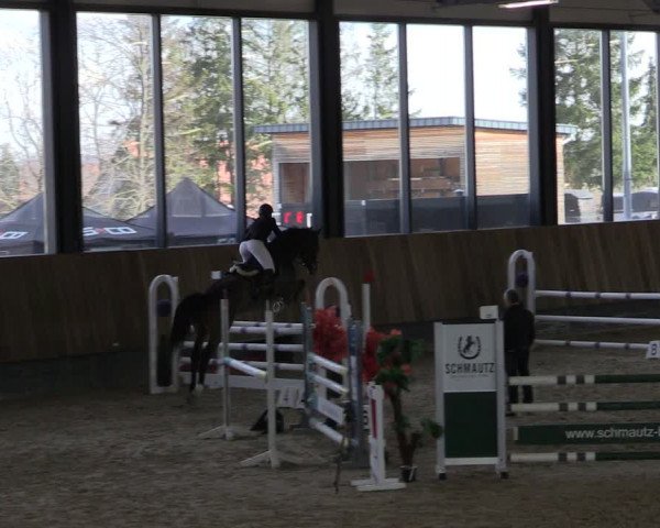 Reitturnier Zwickau 2024