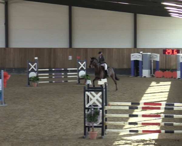 Reitturnier Zwickau 2024