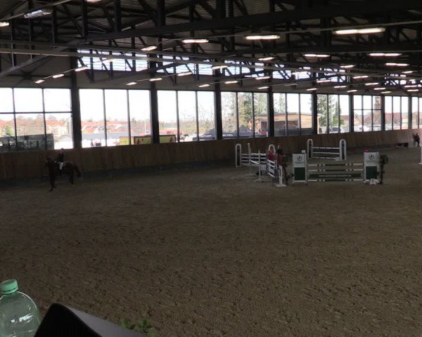 Reitturnier Zwickau 2024