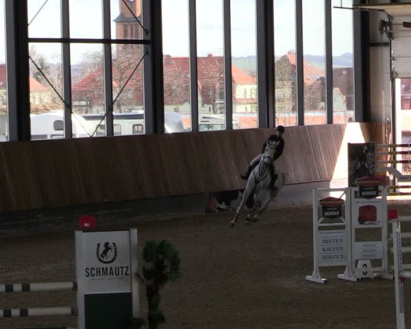 Reitturnier Zwickau 2024