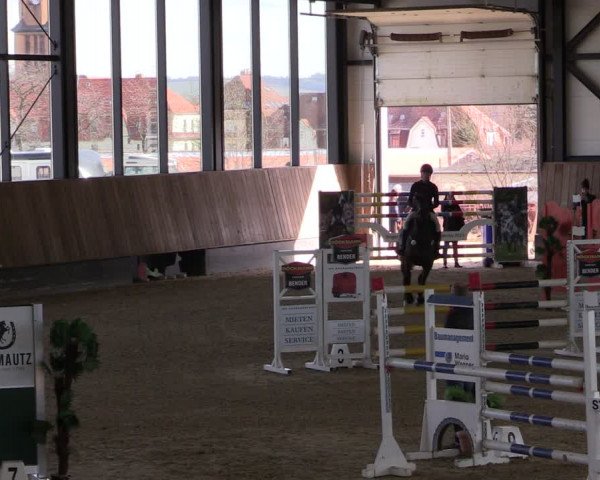 Reitturnier Zwickau 2024