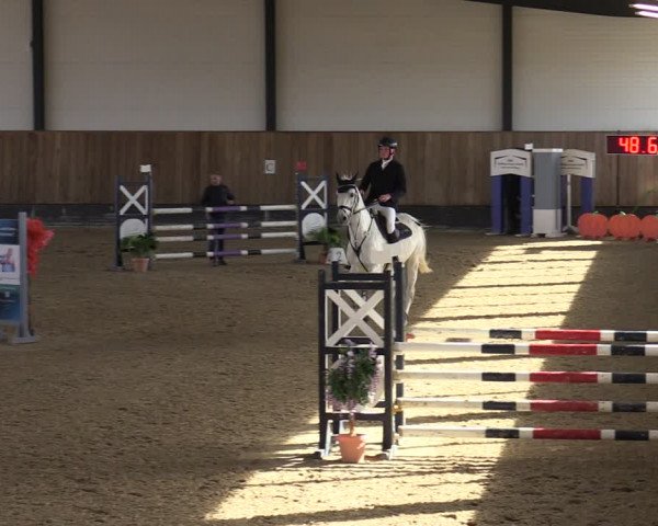 Reitturnier Zwickau 2024