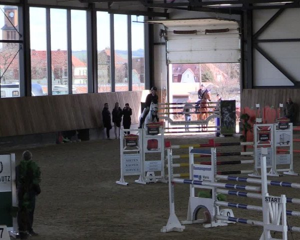 Reitturnier Zwickau 2024