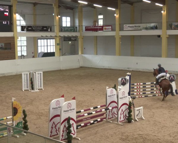 Reitturnier Stadl-Paura 2024
