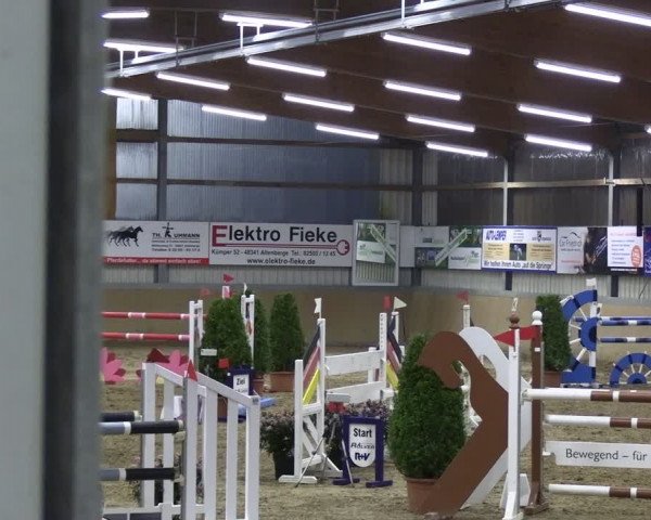 Reitturnier Altenberge 2024
