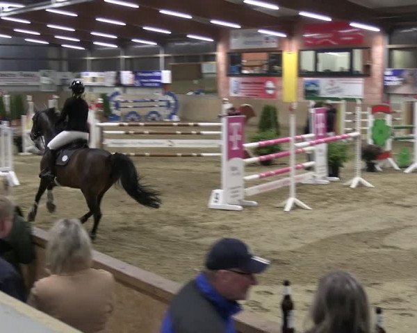 Reitturnier Altenberge 2024