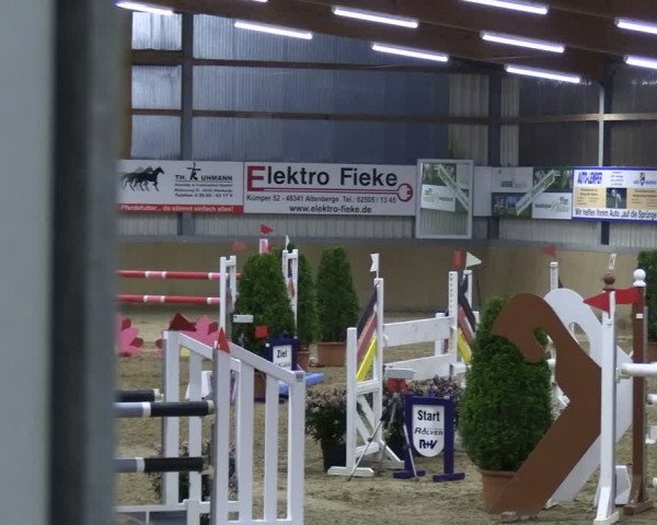 Reitturnier Altenberge 2024