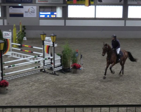 Reitturnier Luhmühlen 2024