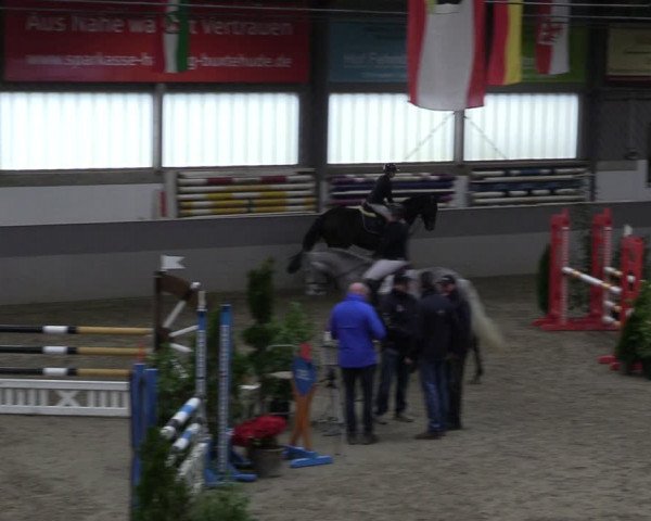 Reitturnier Luhmühlen 2024
