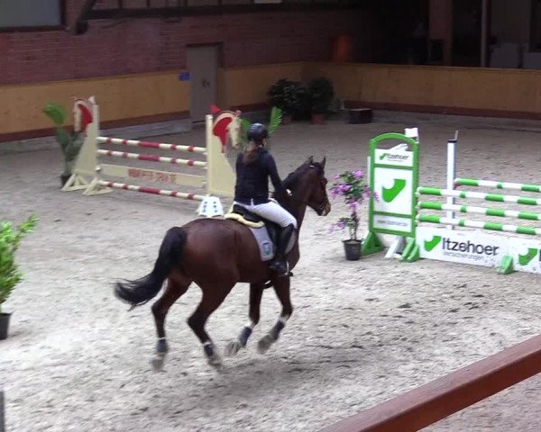 Reitturnier Hamburg-Friedrichshulde/Sylva Kuhrt 2024