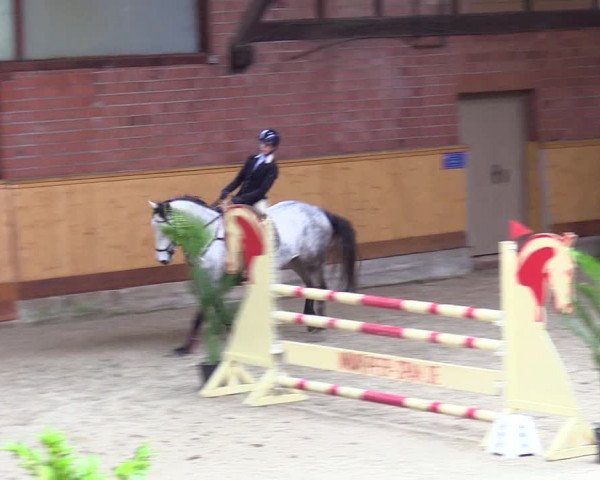 Reitturnier Hamburg-Friedrichshulde/Sylva Kuhrt 2024