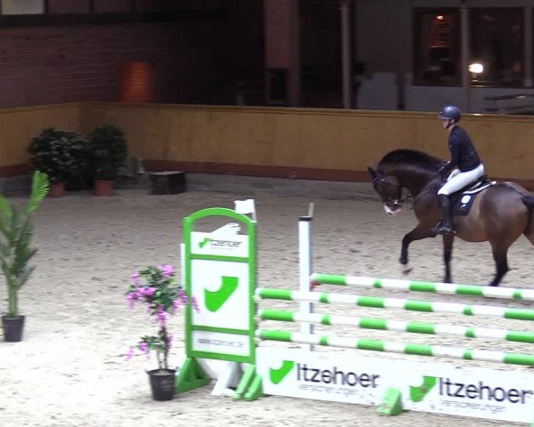 Reitturnier Hamburg-Friedrichshulde/Sylva Kuhrt 2024