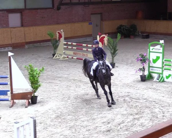 Reitturnier Hamburg-Friedrichshulde/Sylva Kuhrt 2024