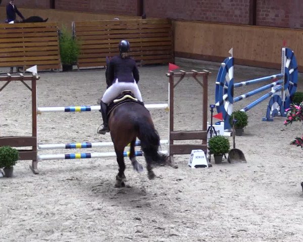 Reitturnier Hamburg-Friedrichshulde/Sylva Kuhrt 2024
