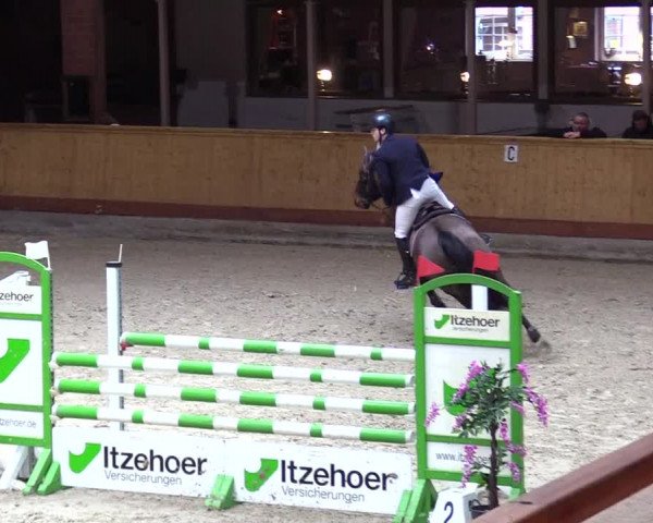 Reitturnier Hamburg-Friedrichshulde/Sylva Kuhrt 2024