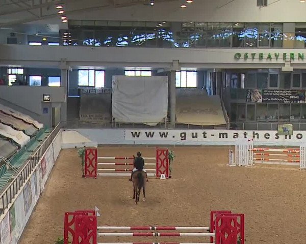 Reitturnier Kreuth/Opf. 2024