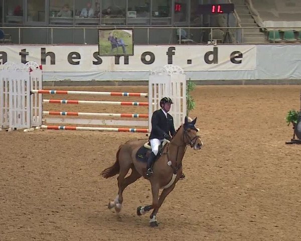 Reitturnier Kreuth/Opf. 2024