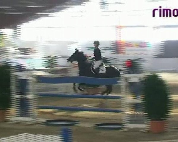 Borken 2011