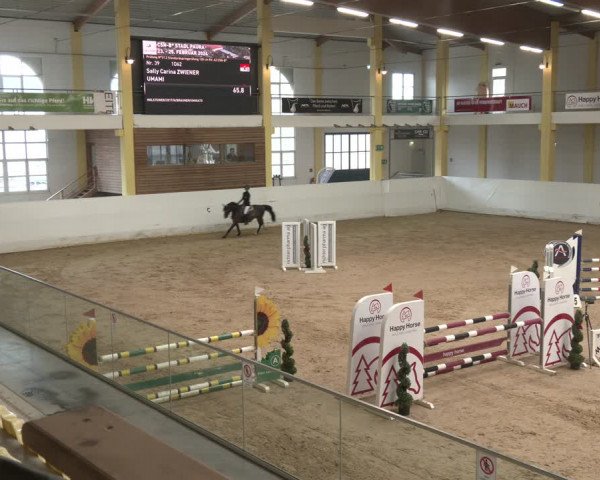 Reitturnier Stadl-Paura 2024