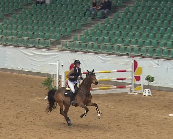 Reitturnier Kreuth/Opf. 2024