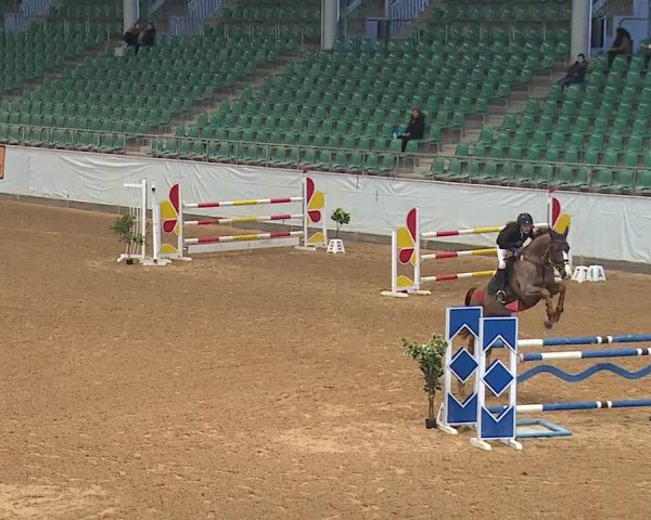 Reitturnier Kreuth/Opf. 2024