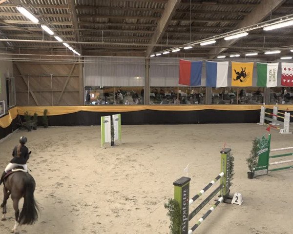 Reitturnier Erlen 2024