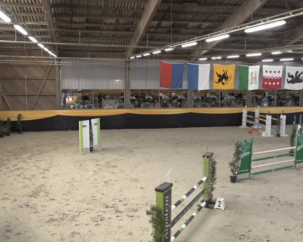 Reitturnier Erlen 2024