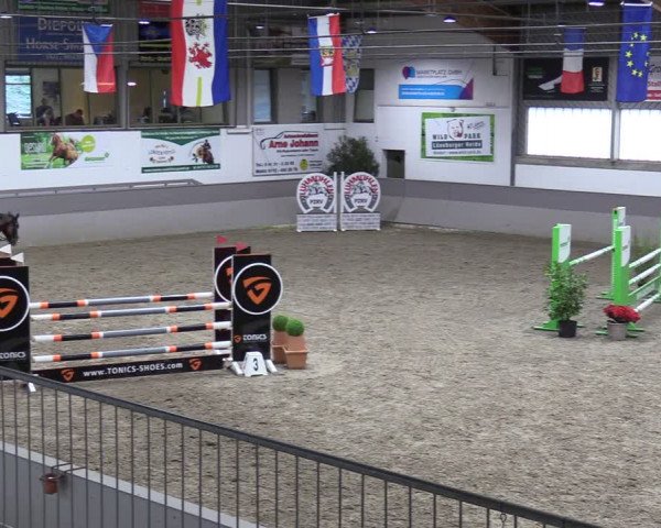 Reitturnier Luhmühlen 2024