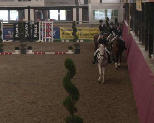 Reitturnier Vlotho-Exter 2024