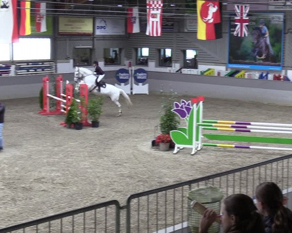 Reitturnier Luhmühlen 2024