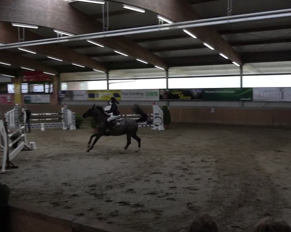 Reitturnier Altenberge 2024