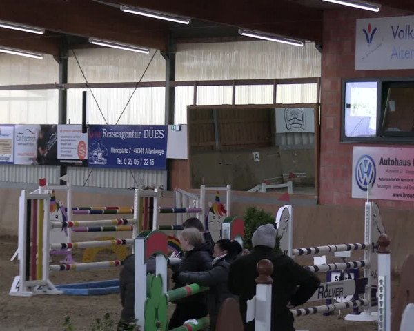 Reitturnier Altenberge 2024