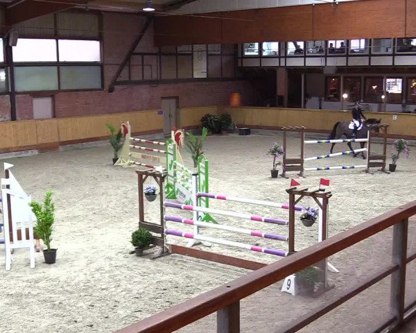 Reitturnier Hamburg-Friedrichshulde/Sylva Kuhrt 2024